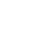 raizenlogo